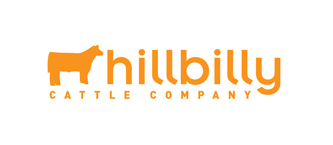 hillbilly_cattle Hillbilly Cattle Company