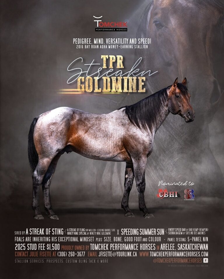 TPR StreakN Goldmine