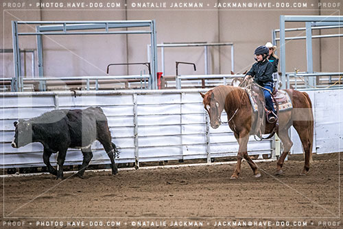 102018-P4552