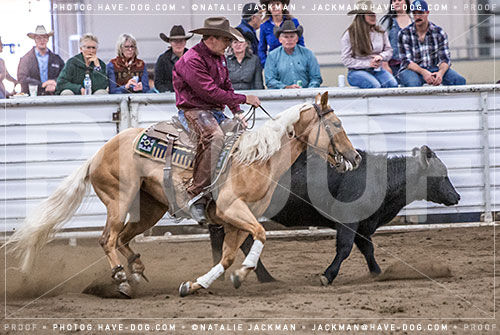 102018-P5029
