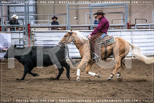 102018-P5031