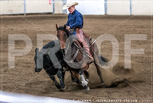102018-P3860