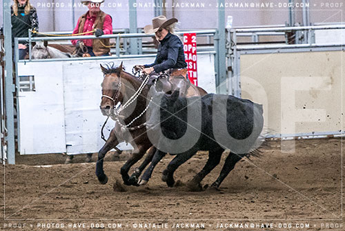 102018-P3933