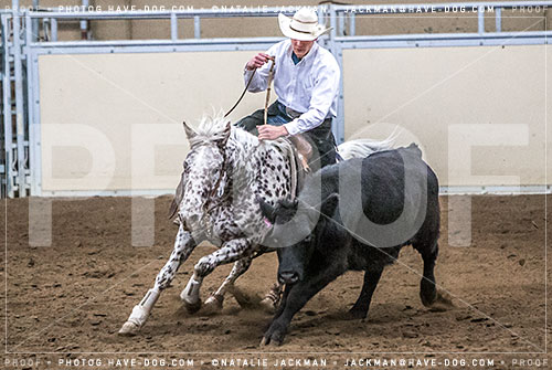 102018-P4484