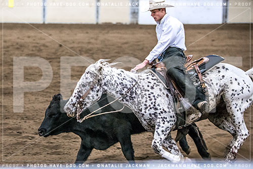 102018-P4502