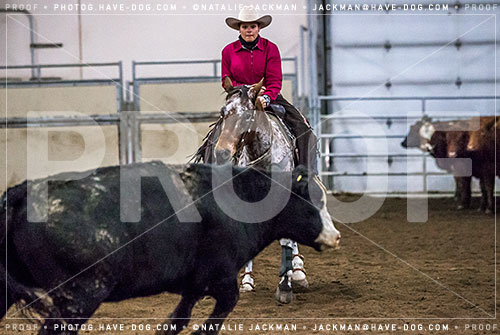 102018-P2024