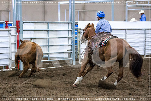 052018-P4977