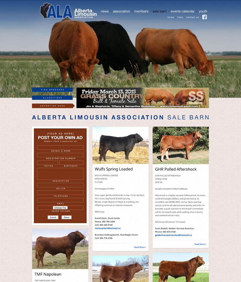 Alberta Limousin Association (ALA)