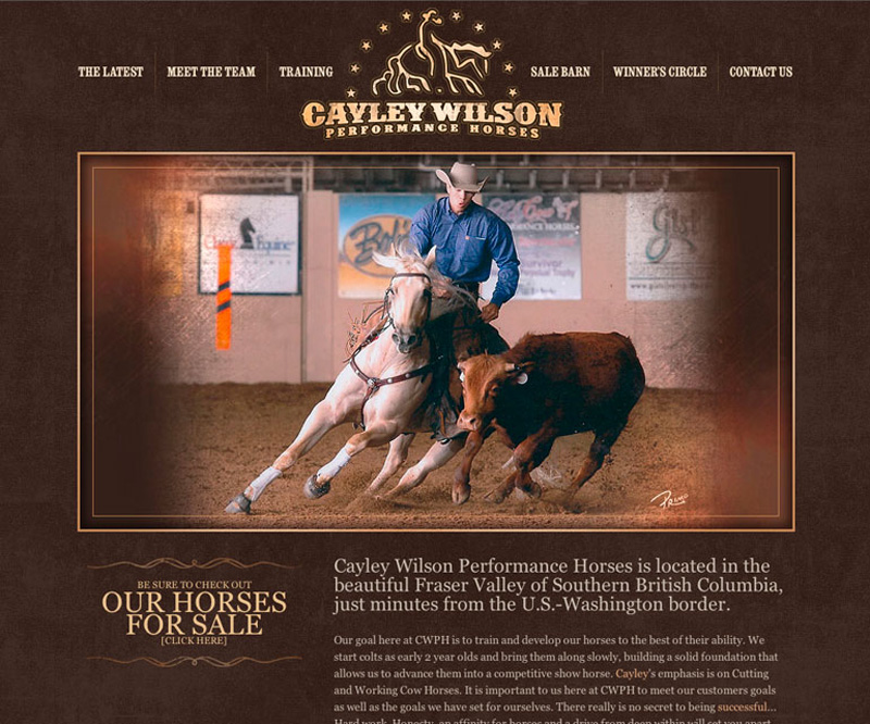 Cayley Wilson Performance Horses website