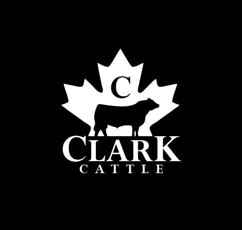 clark_cattle Clark Cattle logo