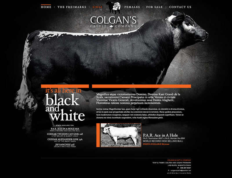 Colgan's Cattle Company website