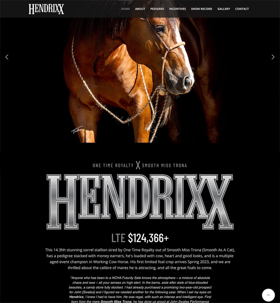 Hendrixx stallion website