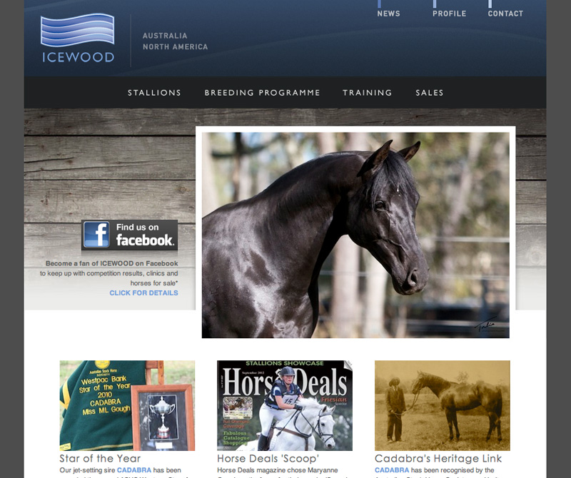 Icewood Australian Stock Horses