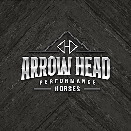 Old Wood Texture Background Surface. Wood Texture Table Surface Arrow Head Performance Horses logo