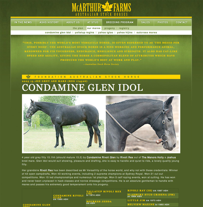 McArthur Farms Australian Stock Horses