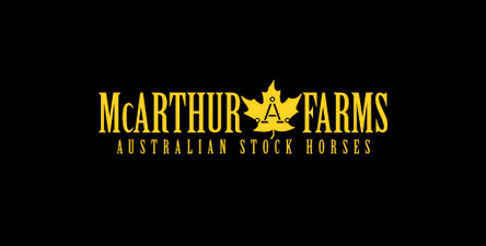 mcarthur_farms McArthur Farms Australian Stock Horses