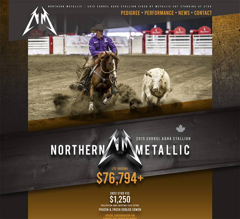 Northern Metallic website