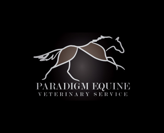 paradigm_equine Paradigm Equine Veterinary Service logo