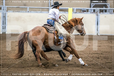 102018-P3977