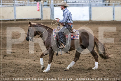 102018-P3988