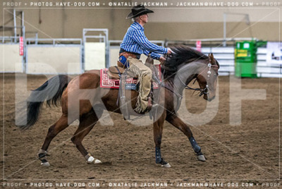 102018-P2780