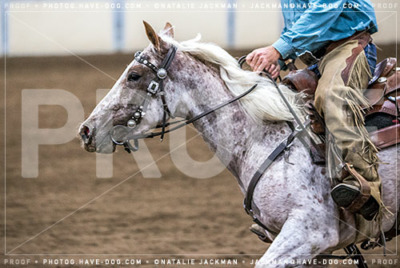 102018-P2852