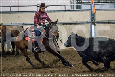 102018-P2076
